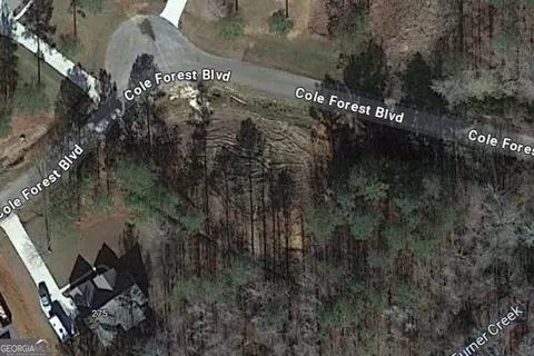 LOT 50 Cole Forest Boulevard #50, Barnesville, GA 30204