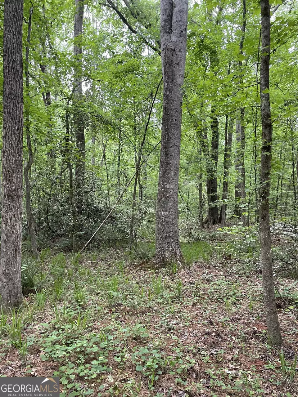  0 Brewers Bridge Rd, Elberton, GA 30635 photo 2