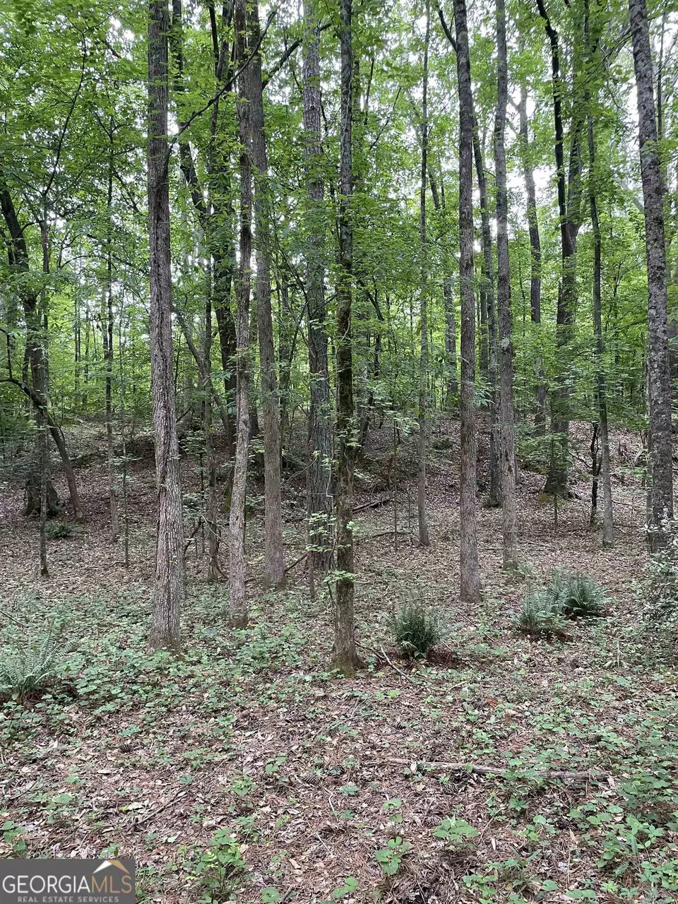  0 Brewers Bridge Rd, Elberton, GA 30635 photo 3