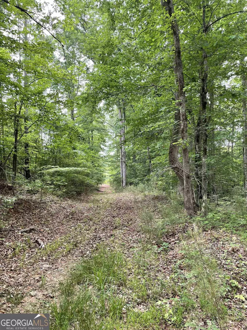  0 Brewers Bridge Rd, Elberton, GA 30635 photo 12