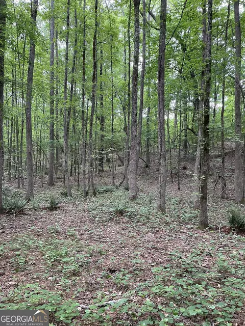 0 Brewers Bridge Rd, Elberton, GA 30635