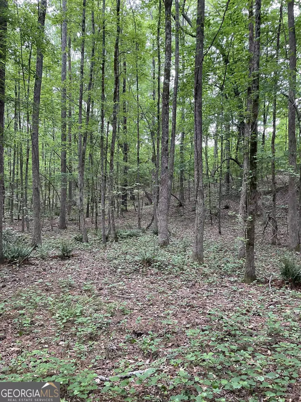  0 Brewers Bridge Rd, Elberton, GA 30635 photo 1