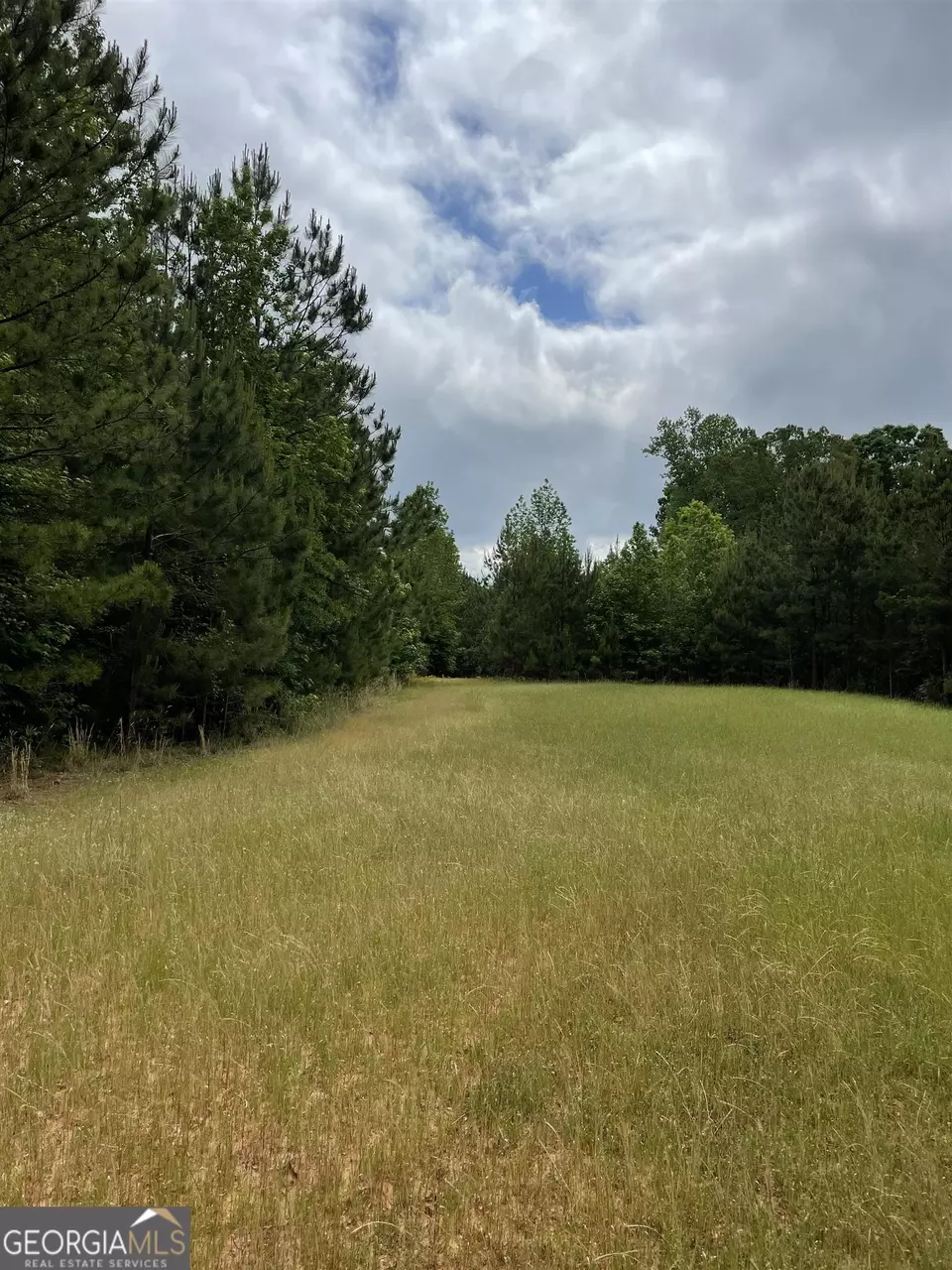  0 Brewers Bridge Rd, Elberton, GA 30635 photo 13