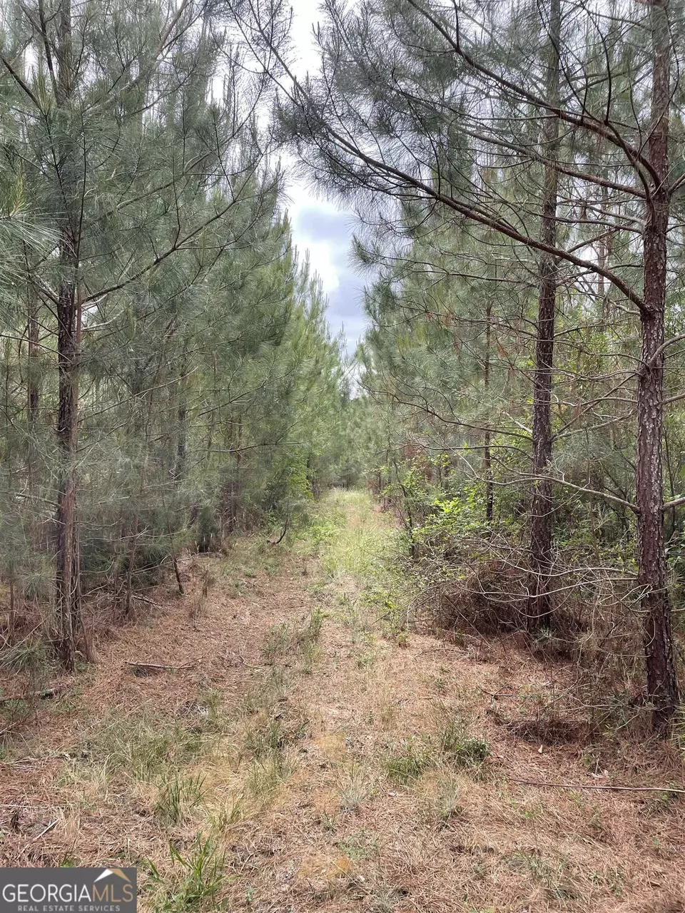 0 Brewers Bridge Rd, Elberton, GA 30635 photo 14