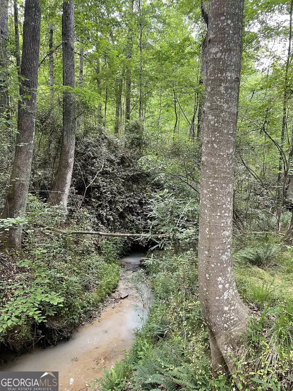  0 Brewers Bridge Rd, Elberton, GA 30635 photo 4