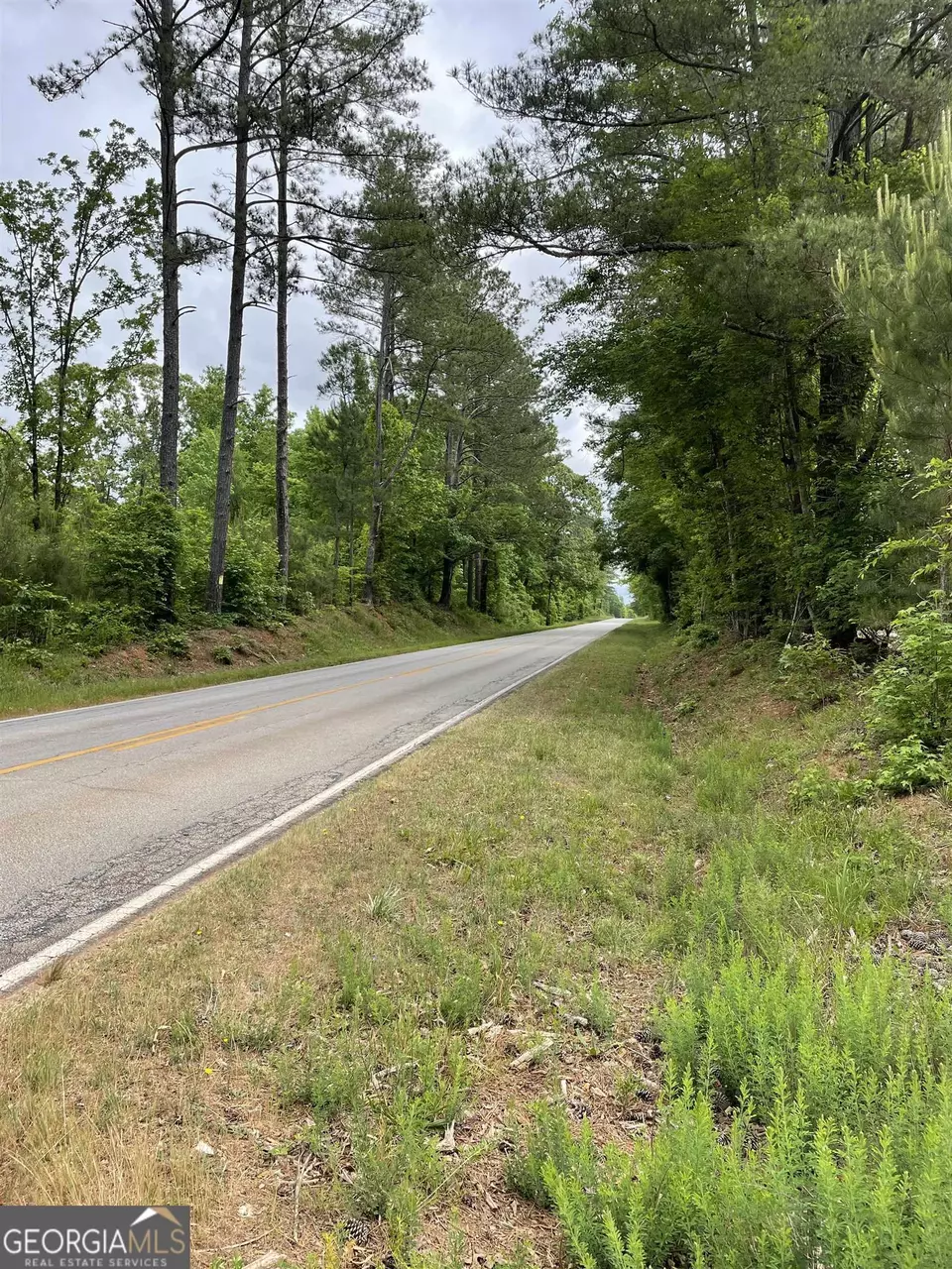  0 Brewers Bridge Rd, Elberton, GA 30635 photo 8