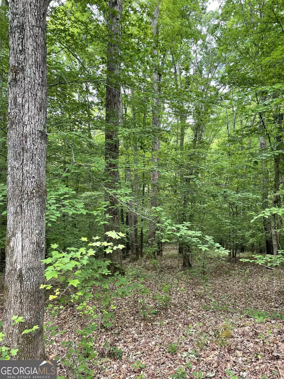  0 Brewers Bridge Rd, Elberton, GA 30635 photo 11