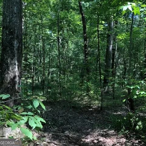 843843 A Glades Rd, Eatonton, GA 31024