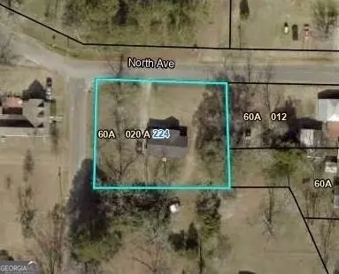 224 North Ave, Adrian, GA 31002 photo 29