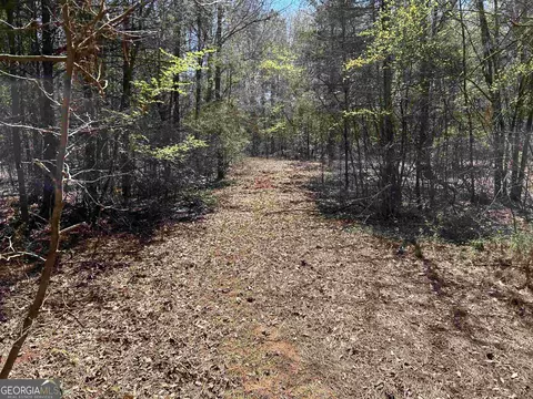 0 Fork Creek Rd, Bowman, GA 30624 photo 7