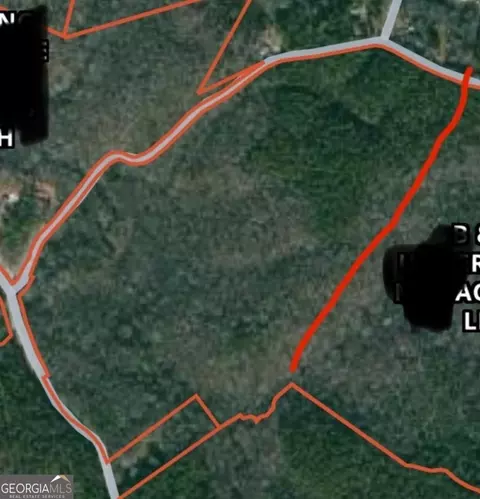 0 Fork Creek Rd, Bowman, GA 30624 photo 3