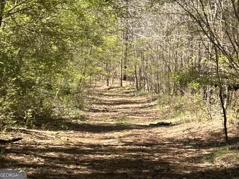 0 Fork Creek Rd, Bowman, GA 30624 photo 6