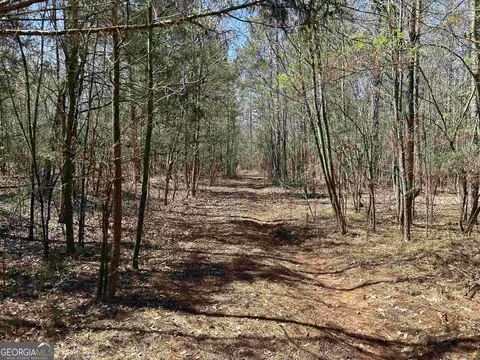 0 Fork Creek Rd, Bowman, GA 30624 photo 5