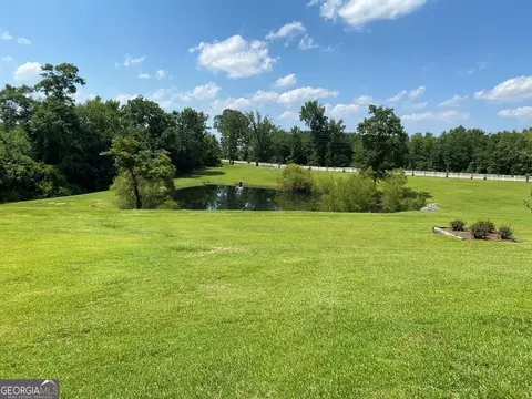 Other - 185 Cool Branch Rd, Georgetown, GA 39854 photo 11 of 16