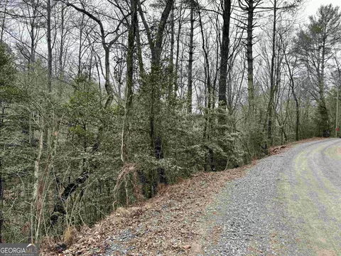 458 Charlottes Web Dr, Ellijay, GA 30540