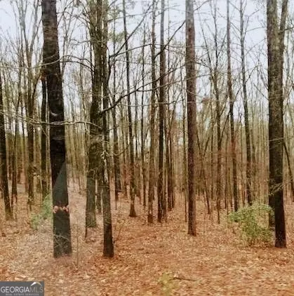 lot2 Kenwood Rd, Fayetteville, GA 30214