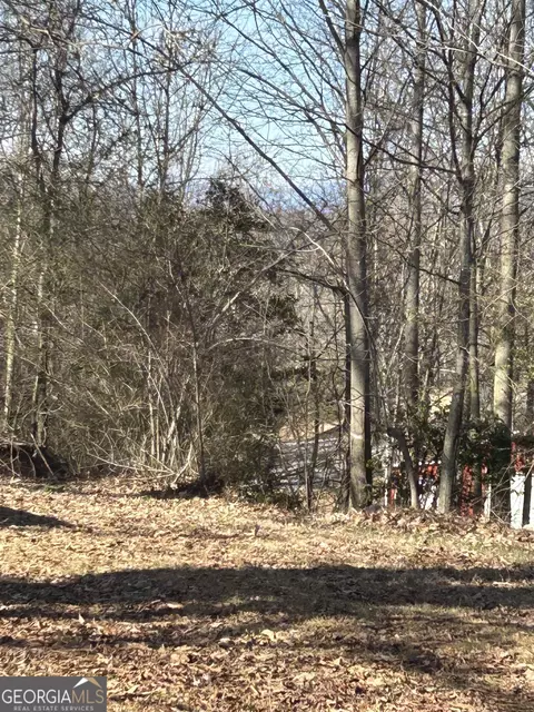 4891 Duncan Bridge Rd, Cornelia, GA 30531 photo 23
