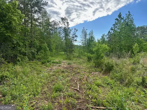 0 Satcher Rd # 1, Taylorsville, GA 30178