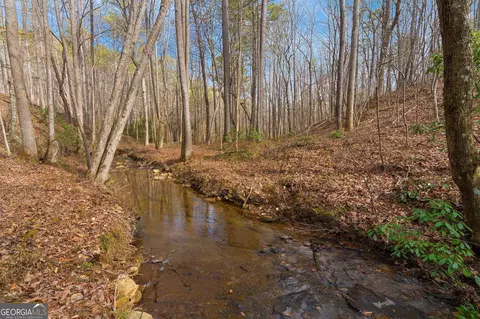 View/Area - 784 Johnson Mountain Rd, Rydal, GA 30171 photo 3 of 3