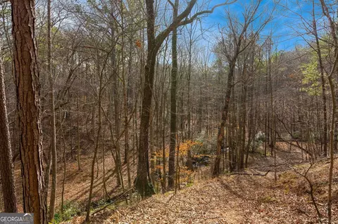 View/Area - 784 Johnson Mountain Rd, Rydal, GA 30171 photo 1 of 3