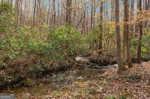 View/Area - 784 Johnson Mountain Rd, Rydal, GA 30171 photo 2 of 3