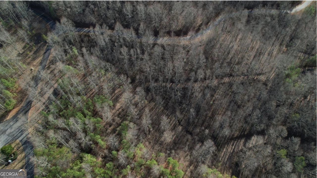 00 Furman Gribble Rd