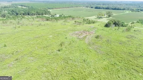 0 Mims Rd #TRACT 2, Byromville, GA 31007