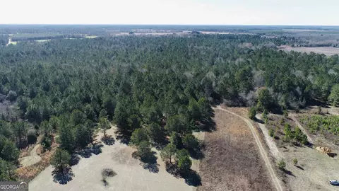 0 Brady Rd, Leslie, GA 31764
