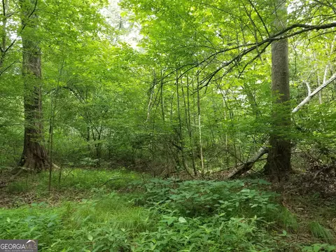 0 Rockmart Rd, Temple, GA 30179 photo 2