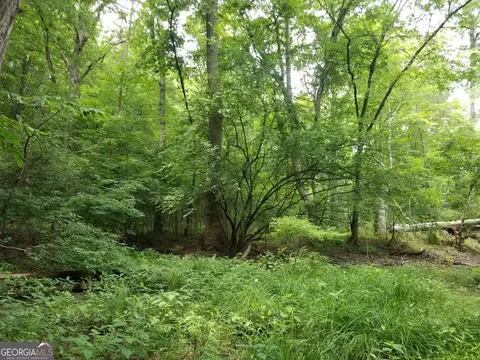 0 Rockmart Rd, Temple, GA 30179 photo 4