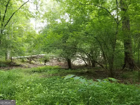 0 Rockmart Rd, Temple, GA 30179 photo 3