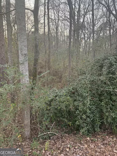 0 Joy St, Jackson, GA 30233 photo 5
