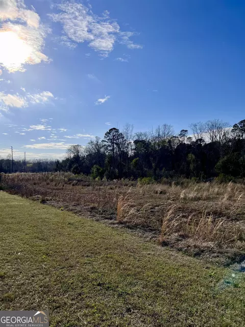 0 Pine Ridge Rd, Eastman, GA 31023