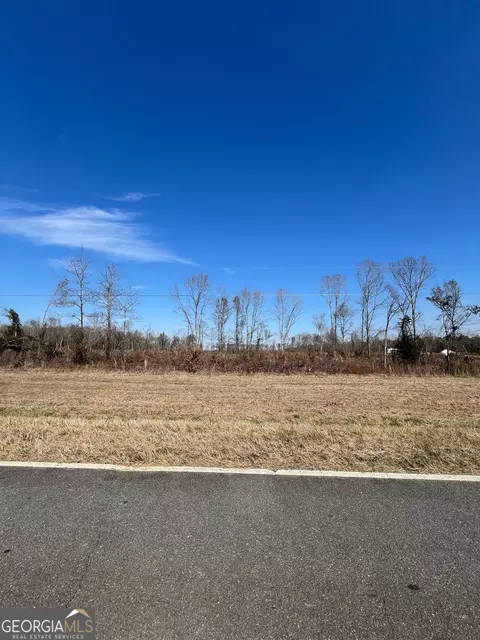 8316 S Sparta Davisboro Rd, Warthen, GA 31094