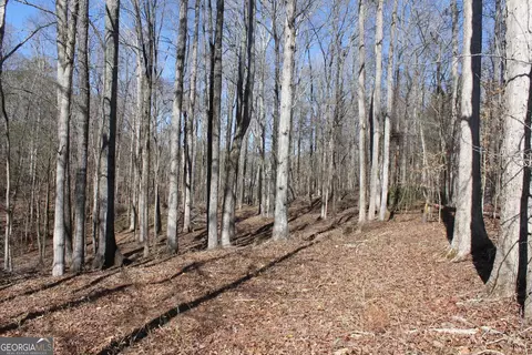 0 Lower Simmons Rd, Macon, GA 31220