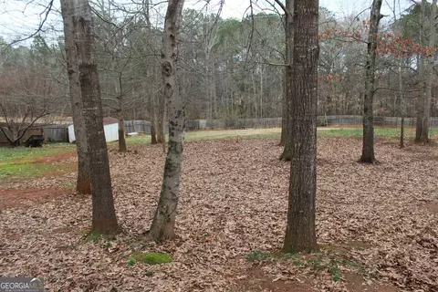 133 Dodgen Place Dr, Hampton, GA 30228 photo 3