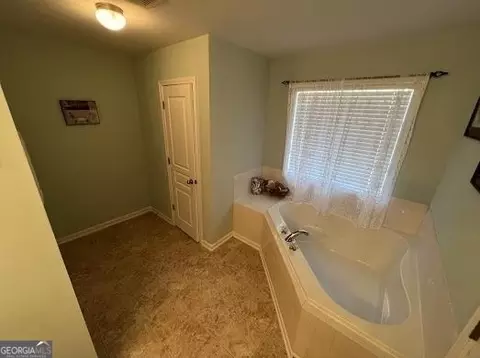 Bath - 141 Revolutionary Dr, Hampton, GA 30228 photo 3 of 4