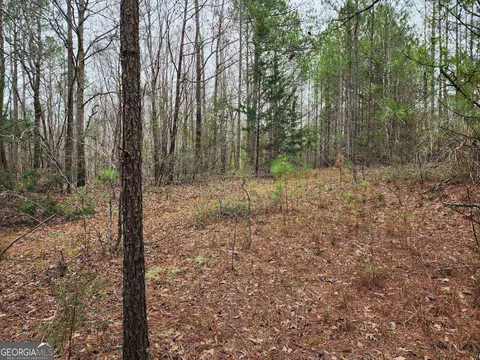 lot13 Smith Rd, Thomaston, GA 30286