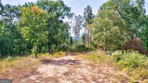 20 Oak Hill Rd #- 20 ACRES, Ellijay, GA 30540