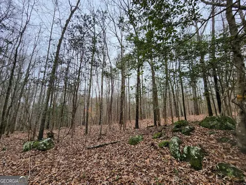 lot1 Trice Cemetery Rd, Thomaston, GA 30286