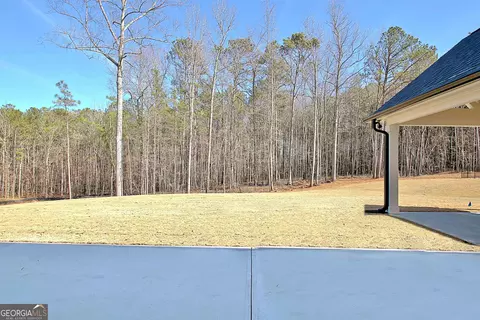 210 Cicely Way, Tyrone, GA 30290 photo 22