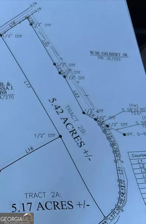 0 Walter Way #TRACT 2, Lavonia, GA 30553