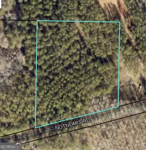 0 Notnomis Rd, Franklin, GA 30217 photo 3