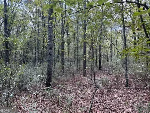 0 Old Prison Camp Rd, Mcrae-helena, GA 31055