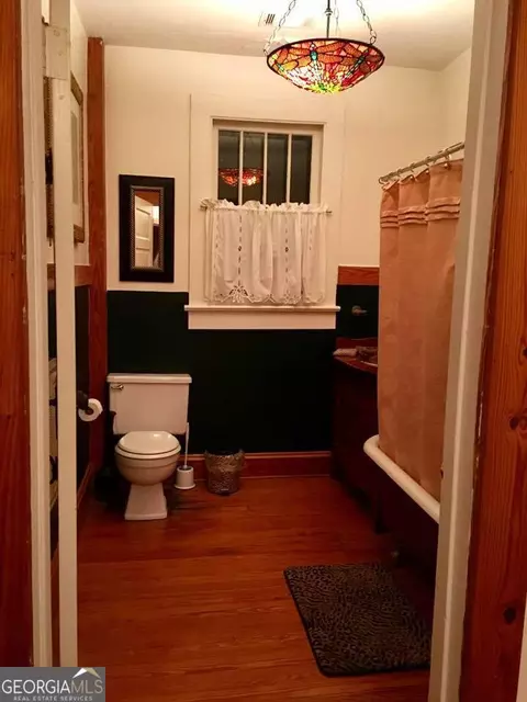 203 Elm St, Cloudland, GA 30731 photo 28