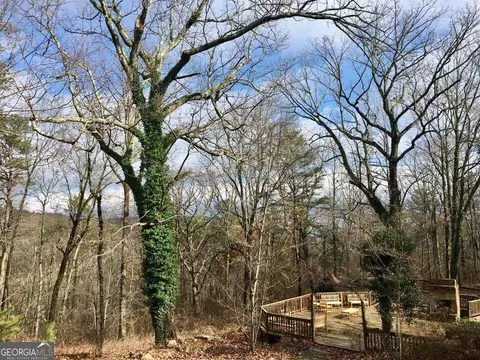 203 Elm St, Cloudland, GA 30731 photo 34