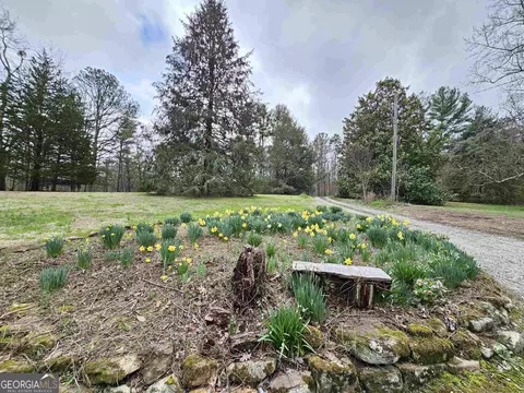 203 Elm St, Cloudland, GA 30731 photo 3