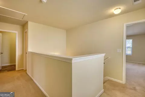 11228 Aliyah Dr, Hampton, GA 30228 photo 19