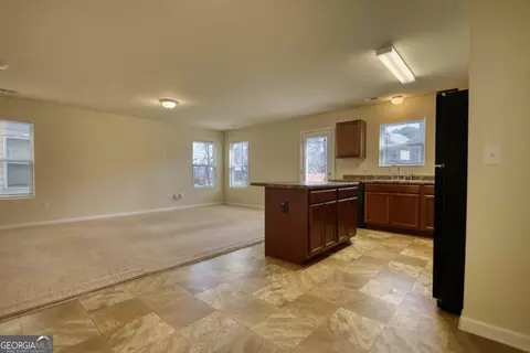 11228 Aliyah Dr, Hampton, GA 30228 photo 13