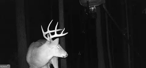 Undisclosed, Pine Mountain, GA 31822 photo 59